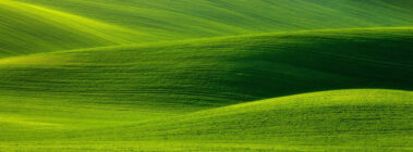 Giardini DOC di Sandro Bortolaso